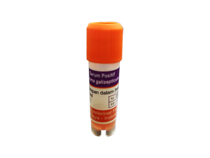 Serum (+) Mycoplasma